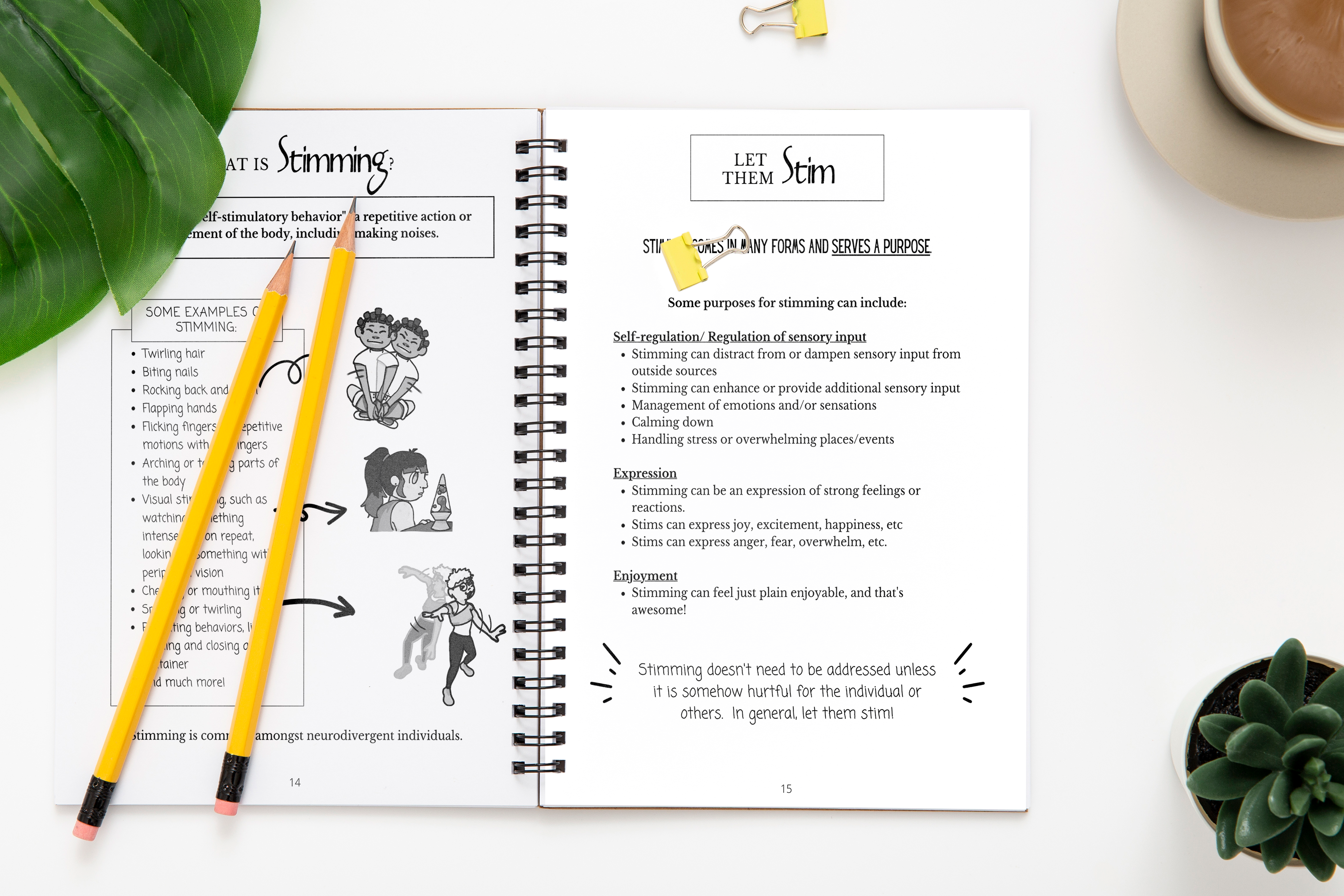 Guide to Creating an Inclusive Classroom for Neurodiverse Students