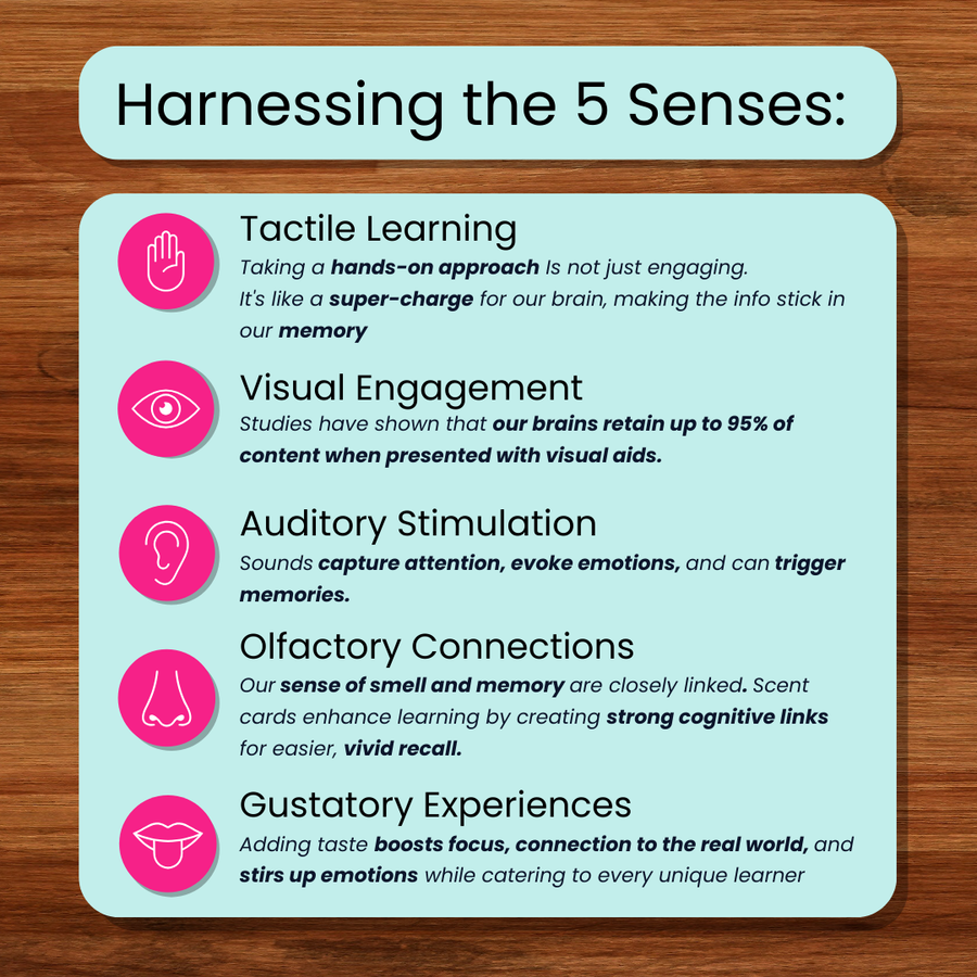 Multi-Sensory Storytelling Kit: Farmyard Adventure with Sheep and Jeep (Shipped)