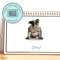 Thumbnail for AAC CORE Words Book: Clean or Dirty? (Printable PDF's) - AdaptEd4SpecialEd
