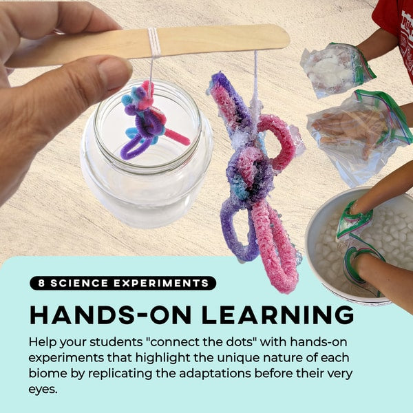 Life Science Ecosystems: Plant and Animal Adaptations + Science Experiments BUNDLE (Printable PDF) - AdaptEd4SpecialEd