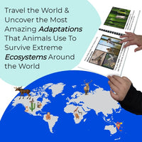 Thumbnail for Life Science Ecosystems: Plant and Animal Adaptations + Science Experiments BUNDLE (Printable PDF) - AdaptEd4SpecialEd
