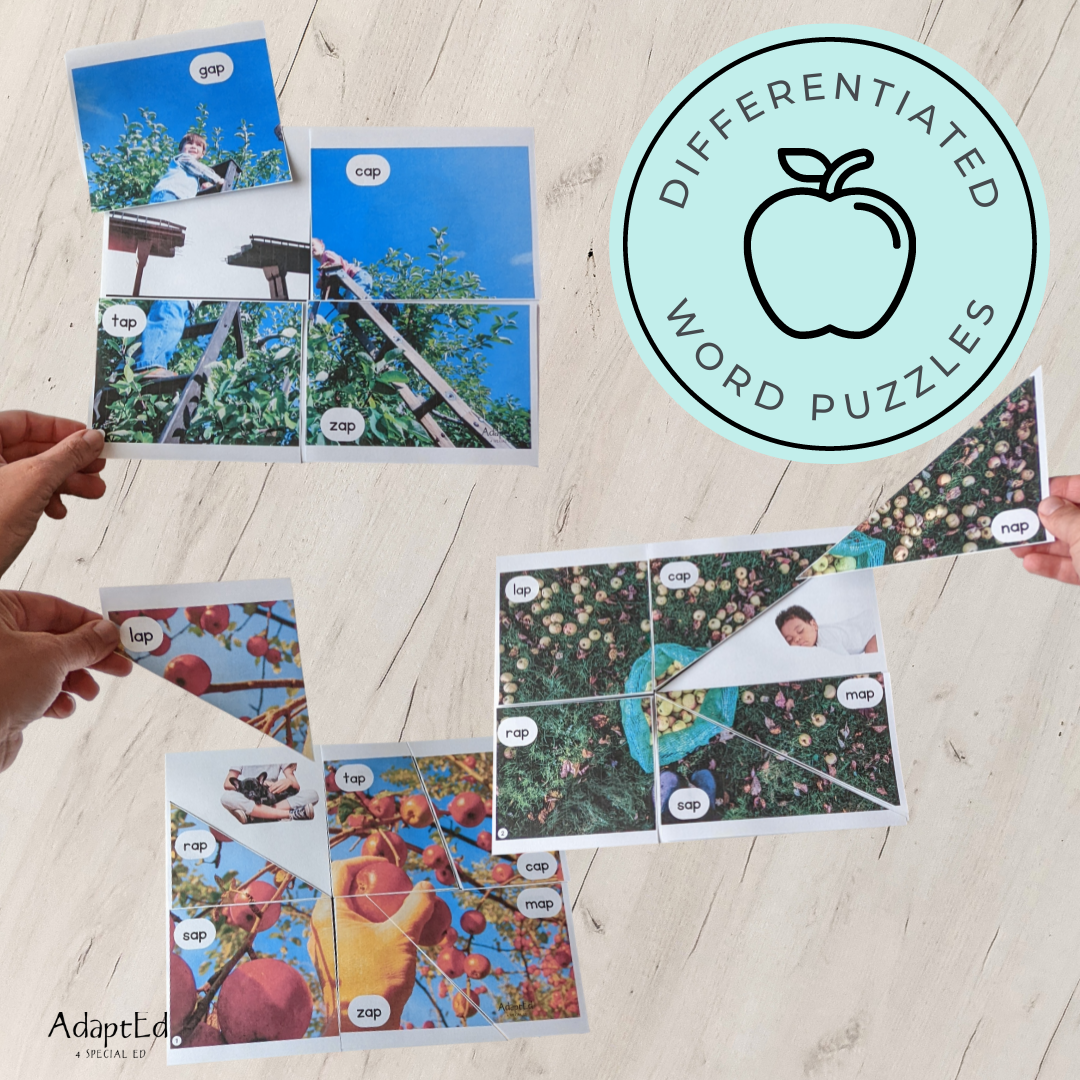 CVC Picture Puzzle Mats (-ap family words) Apple Themed - AdaptEd4SpecialEd