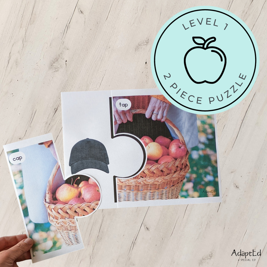 CVC Picture Puzzle Mats (-ap family words) Apple Themed - AdaptEd4SpecialEd