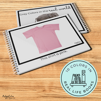 Thumbnail for Colors in the Real World 10 Book Set + 44 File Folders (Printable PDF + Digital Interactive) - AdaptEd4SpecialEd
