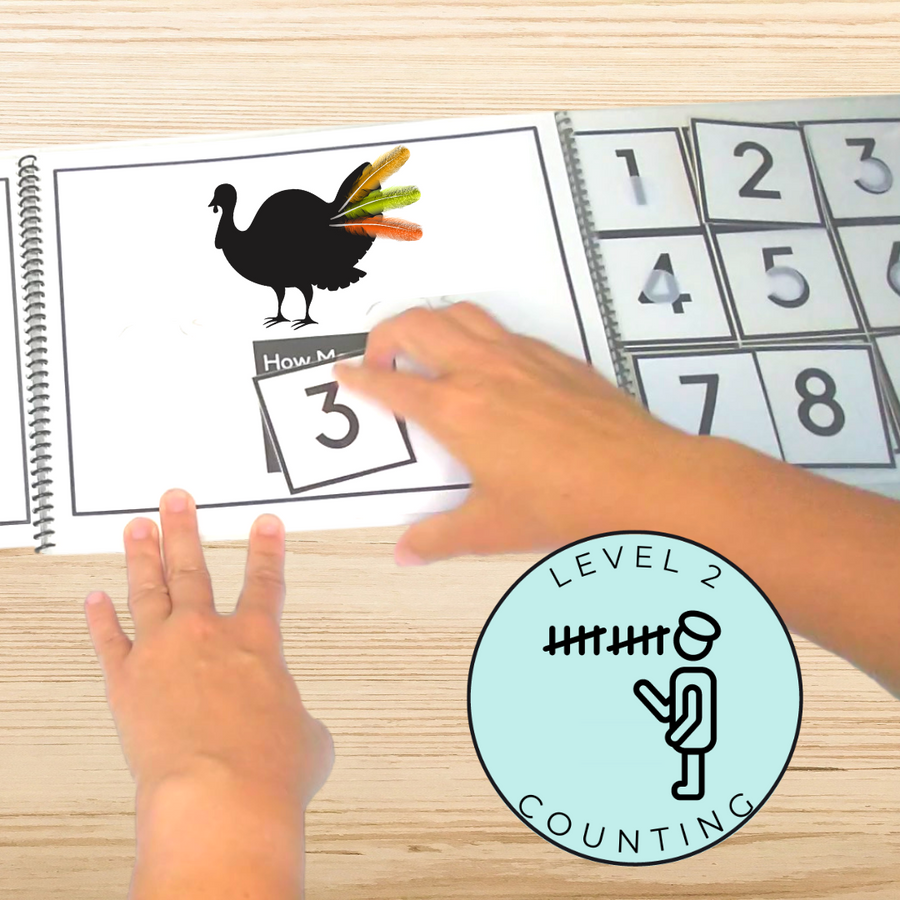 Answering Simple Questions Adapted Books Thanksgiving Turkey 🦃 (Printable PDF + Digital) Wh Questions - AdaptEd4SpecialEd
