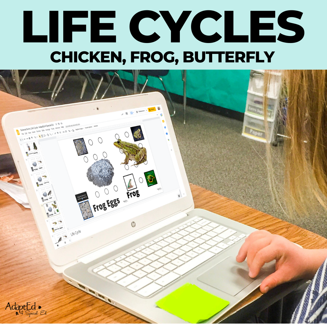 Life Cycle Science Sorts: Frog, Chicken, Butterfly (Printable PDF) - AdaptEd4SpecialEd