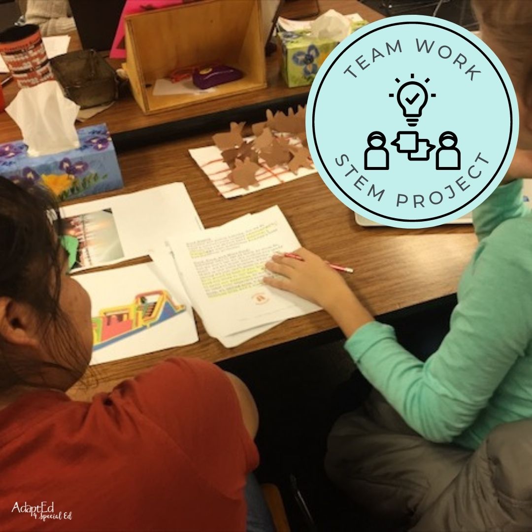 North Pole Design STEM Project (Printable PDF) Adapted Book - AdaptEd4SpecialEd