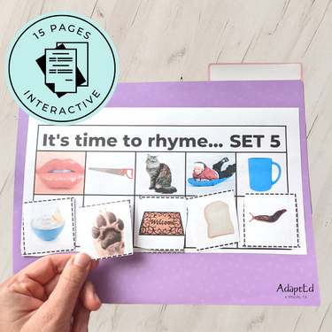 It's Time to Rhyme Rhyming File Folders Cut & Paste Worksheets Adapted Book - AdaptEd4SpecialEd