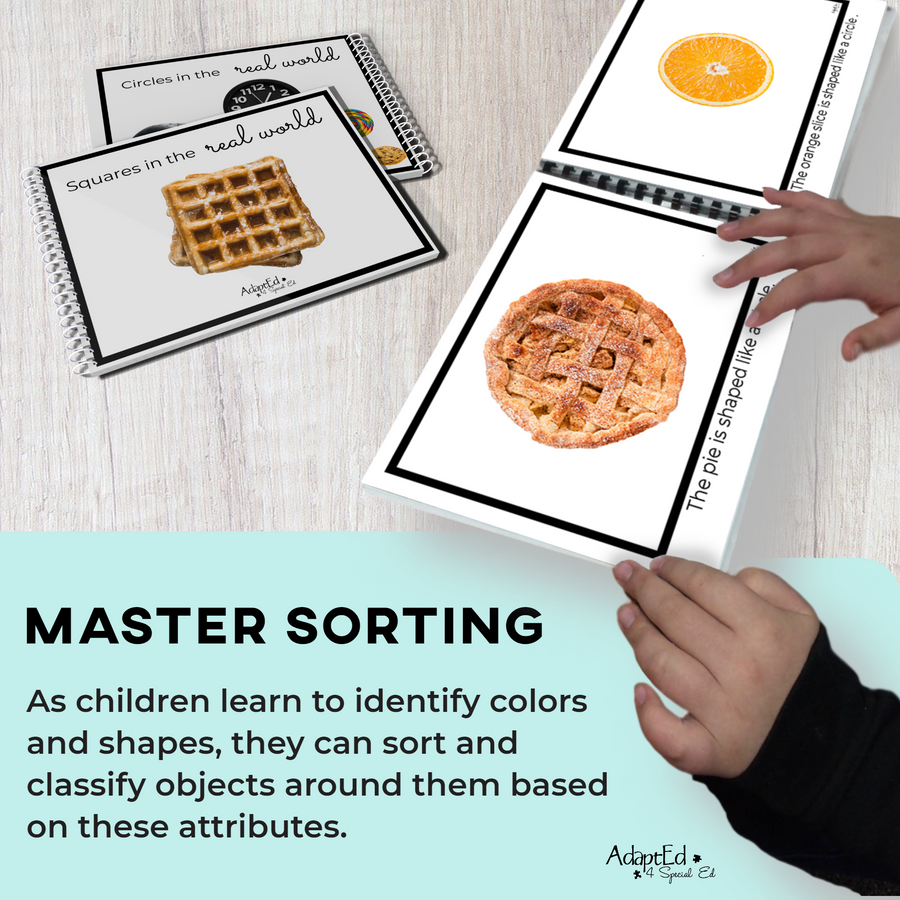 Shapes in the Real World 4 Book Set (Printable PDF) - AdaptEd4SpecialEd