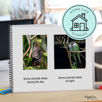 Thumbnail for Social Skills Story: Sleeping at Night: Editable (Printable PDF ) Uncategorized - AdaptEd4SpecialEd