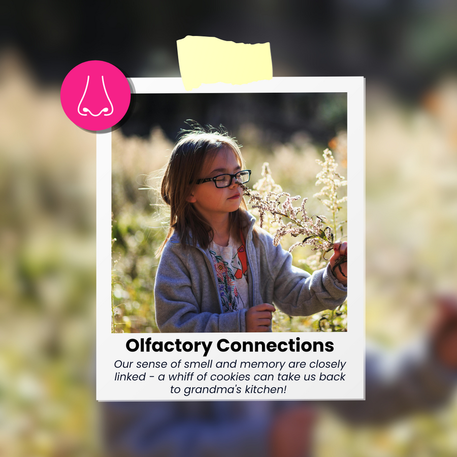 Multi-Sensory Storytelling Kit: Farmyard Adventure with Sheep and Jeep (Shipped)