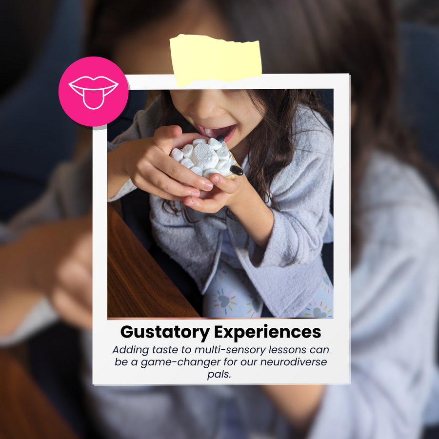 Multi-Sensory Storytelling Kit: Farmyard Adventure with Sheep and Jeep (Shipped)