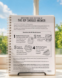 The Art of the IEP