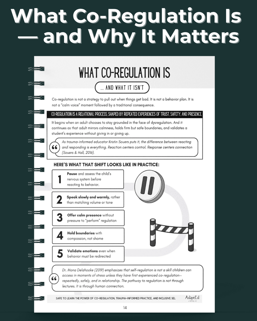 Safe to Learn Handbook