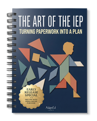 The Art of the IEP
