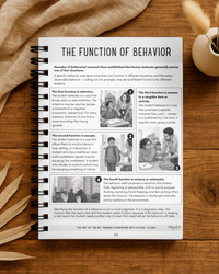 The Art of the IEP