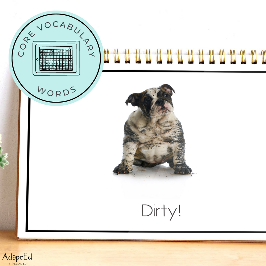 AAC CORE Words Book: Clean or Dirty? (Printable PDF's) - AdaptEd4SpecialEd