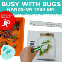 Thumbnail for Task Bin 3: Busy With Bugs (Ships to You) Task Box (Ships to You) - AdaptEd4SpecialEd