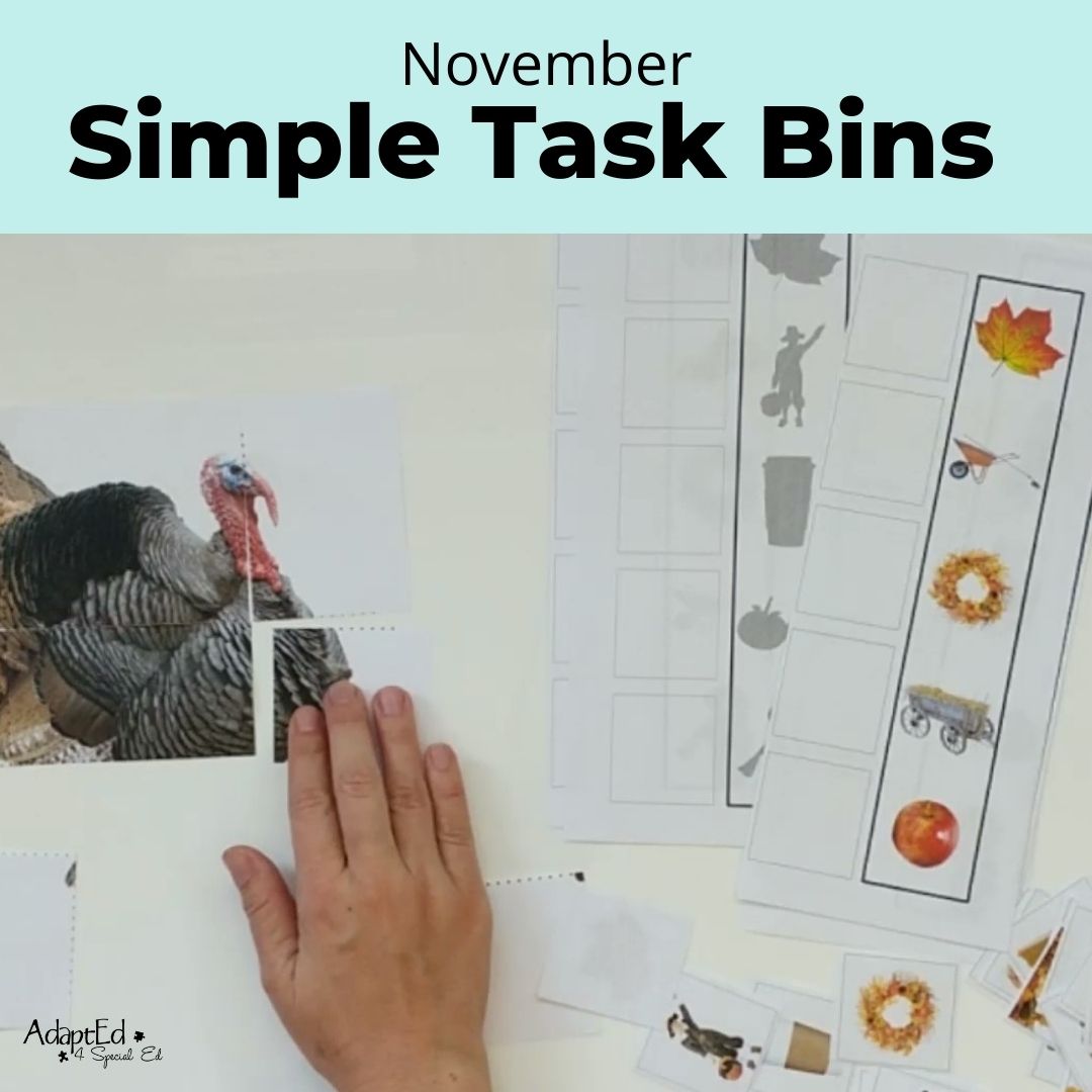 November Simple Task Bins (Printable PDF) Wh Questions - AdaptEd4SpecialEd