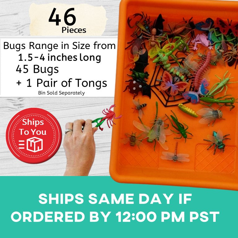Task Bin 3: Busy With Bugs (Ships to You) Task Box (Ships to You) - AdaptEd4SpecialEd