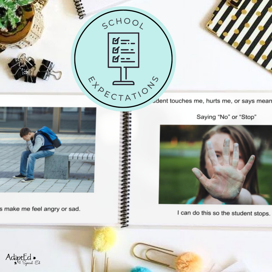 Social Skills Story: Bully | Bullying (Printable PDF) School - AdaptEd4SpecialEd