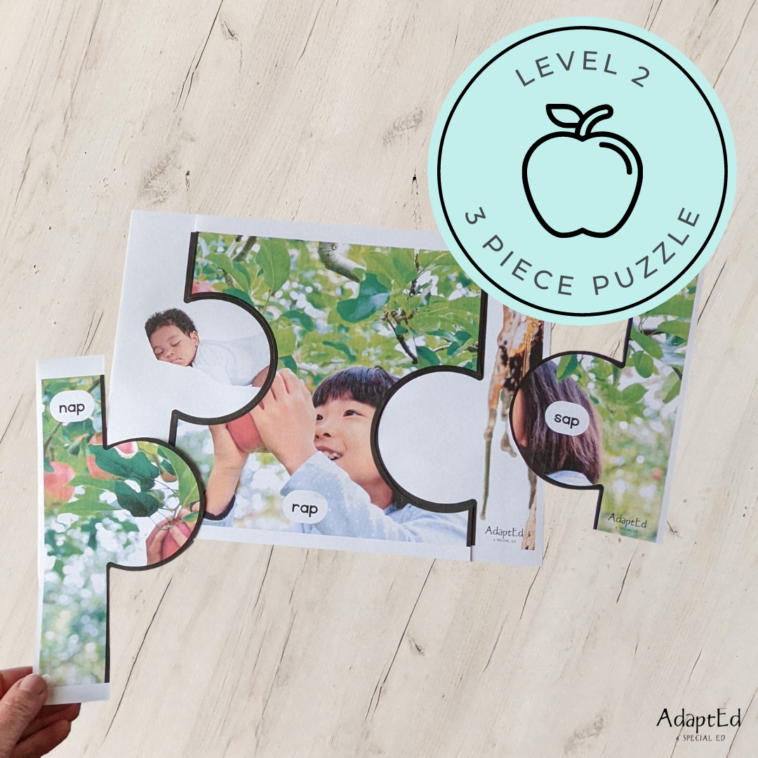 CVC Picture Puzzle Mats (-ap family words) Apple Themed - AdaptEd4SpecialEd