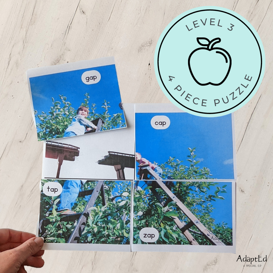 CVC Picture Puzzle Mats (-ap family words) Apple Themed - AdaptEd4SpecialEd