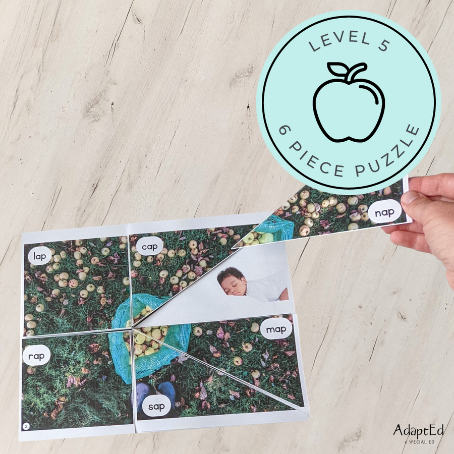 CVC Picture Puzzle Mats (-ap family words) Apple Themed - AdaptEd4SpecialEd