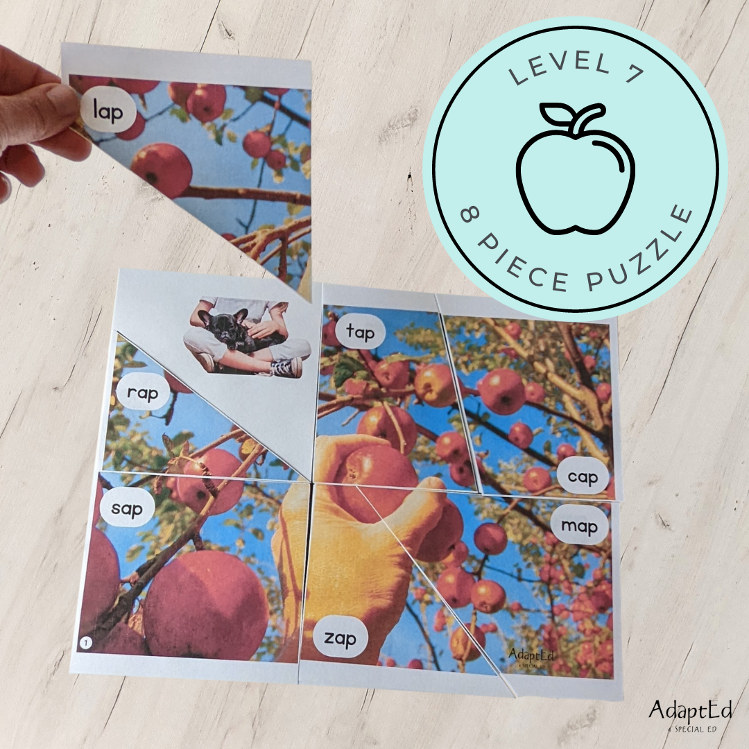 CVC Picture Puzzle Mats (-ap family words) Apple Themed - AdaptEd4SpecialEd
