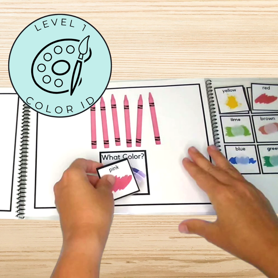 Answering Simple Questions Adapted Book BUNDLE (Printable PDF + Digital) Wh Questions - AdaptEd4SpecialEd