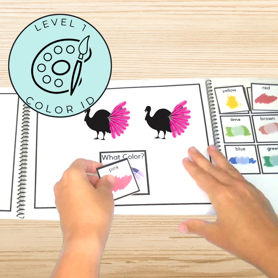 Answering Simple Questions Adapted Books Thanksgiving Turkey 🦃 (Printable PDF + Digital) Wh Questions - AdaptEd4SpecialEd