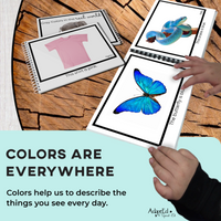 Thumbnail for Colors in the Real World 10 Book Set + 44 File Folders (Printable PDF + Digital Interactive) - AdaptEd4SpecialEd