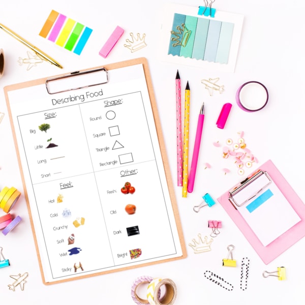 Describe It: Adjectives Set (Printable PDF) Adapted Book - AdaptEd4SpecialEd