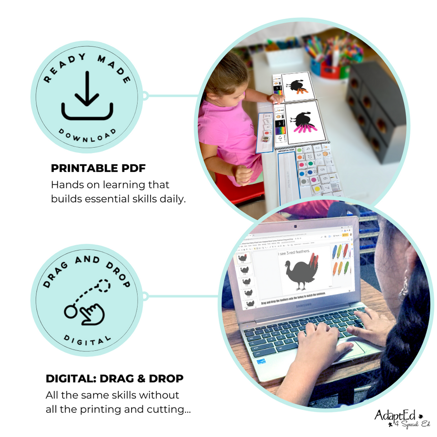 Answering Simple Questions Adapted Books Thanksgiving Turkey 🦃 (Printable PDF + Digital) Wh Questions - AdaptEd4SpecialEd