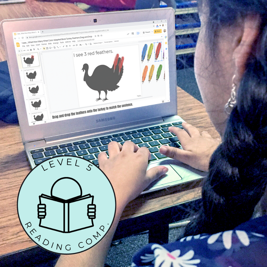 Answering Simple Questions Adapted Books Thanksgiving Turkey 🦃 (Printable PDF + Digital) Wh Questions - AdaptEd4SpecialEd