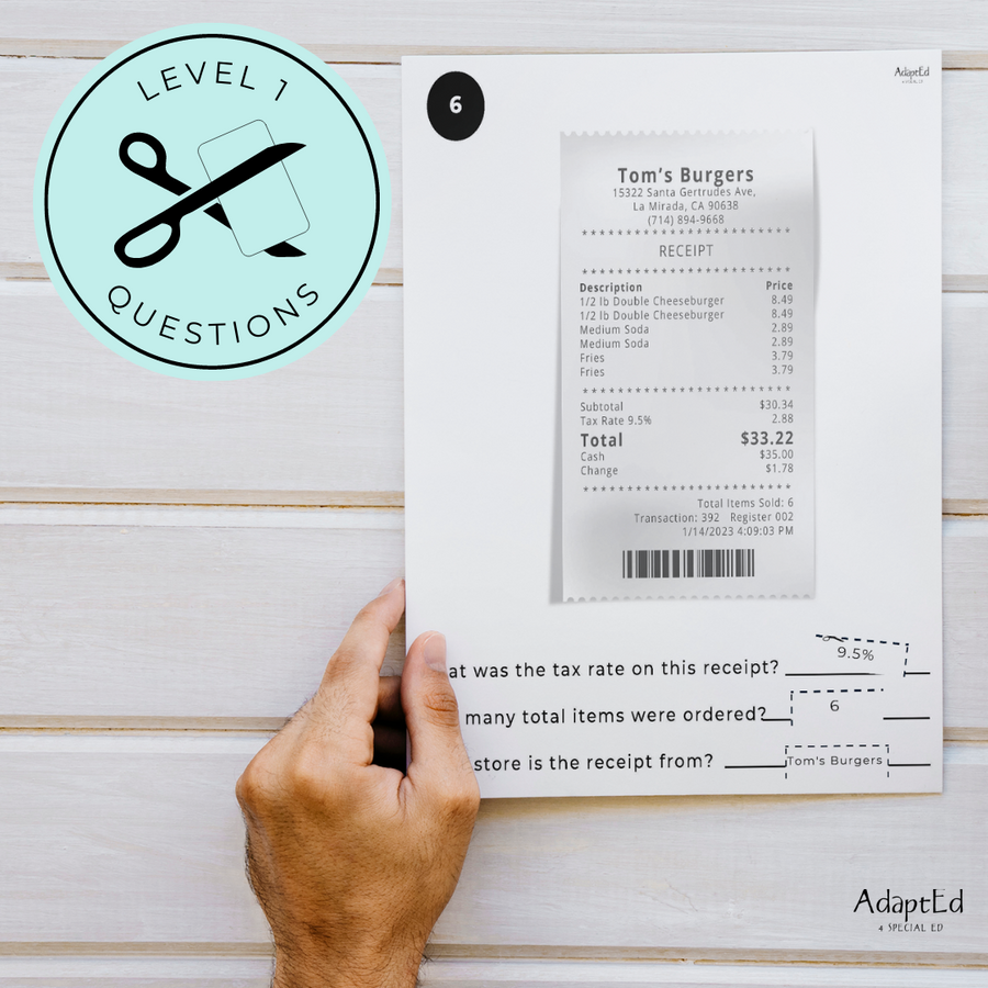 Receipt Reading Comprehension (Printable PDF)