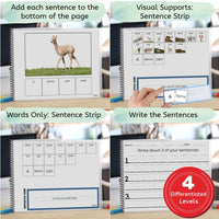 Thumbnail for Animal Actions Adapted Book VERB BUNDLE (Printable PDF + Digital) Adapted Book - AdaptEd4SpecialEd