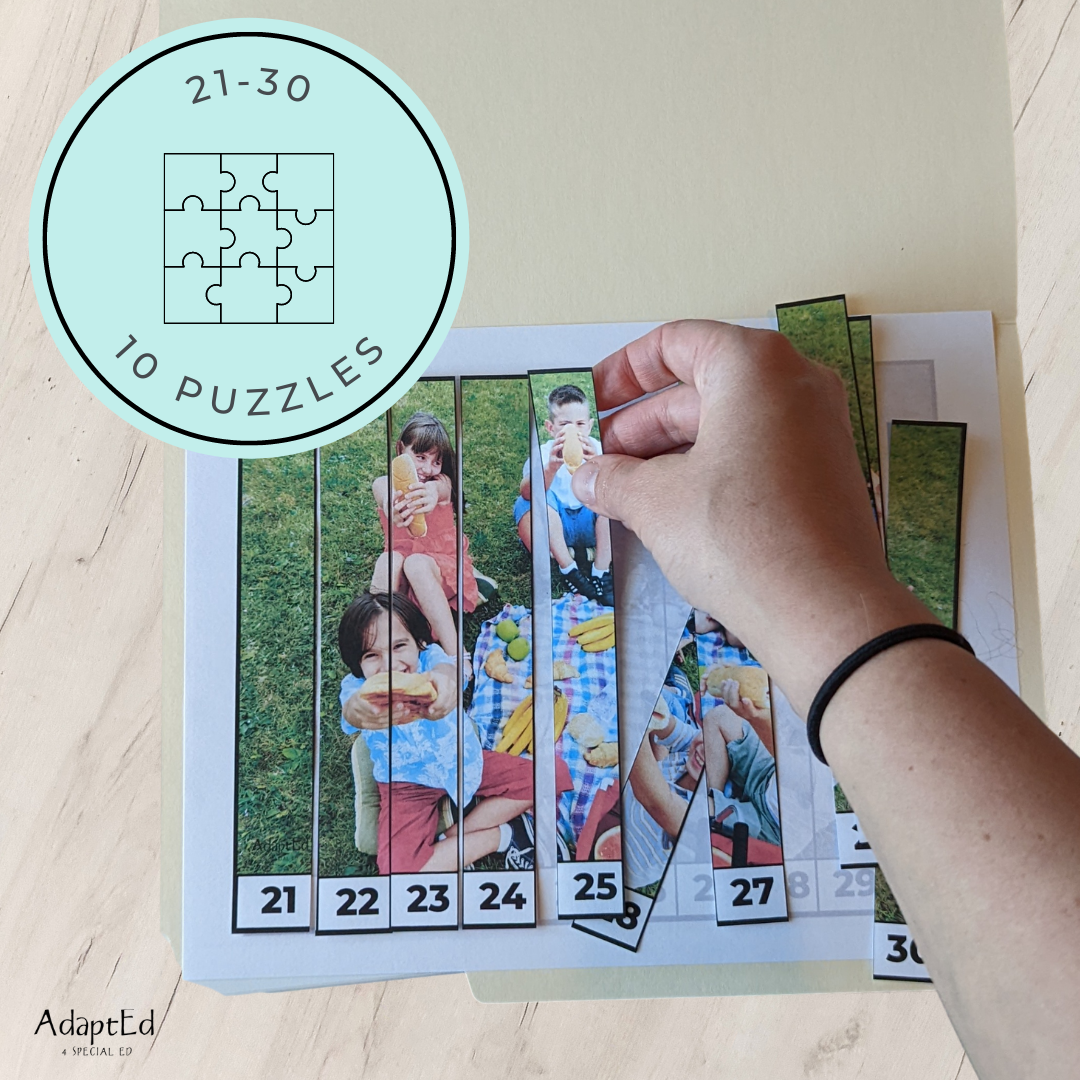 Picnic Counting Puzzles: Counting 1-5 1-10 11-20 21-30 (Printable PDF)