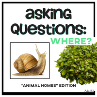 Thumbnail for Asking Questions: 