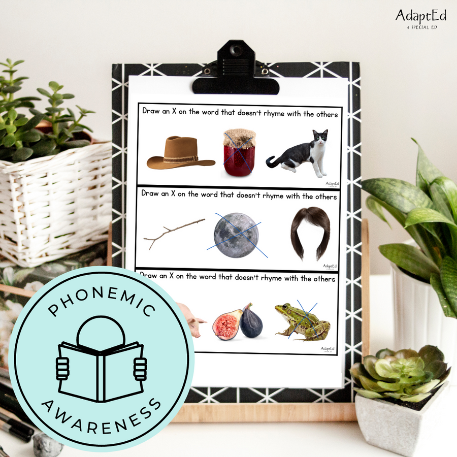 Rhyme Rhyming Phonemic Awareness Activity File Folders Task Cards - AdaptEd4SpecialEd