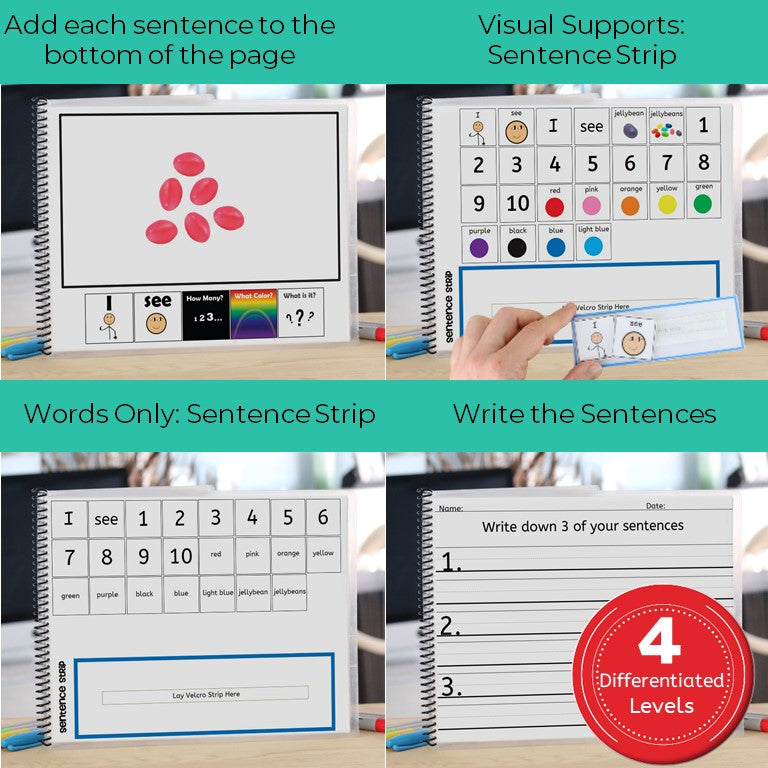 Easter Jellybean Adapted Book (Printable PDF + Digital) Wh Questions - AdaptEd4SpecialEd