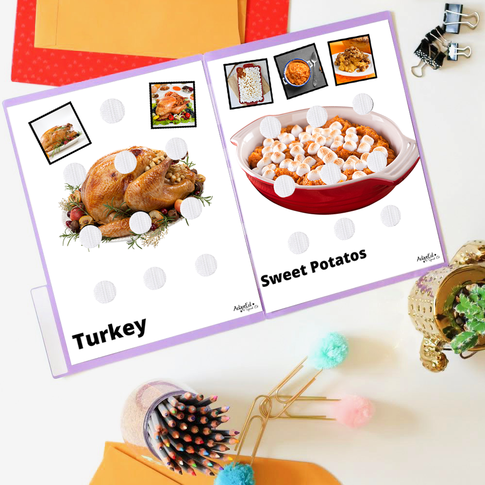 Free Life Skills Thanksgiving Sorts File Folders (Printable PDF + Digital) File Folders - AdaptEd4SpecialEd