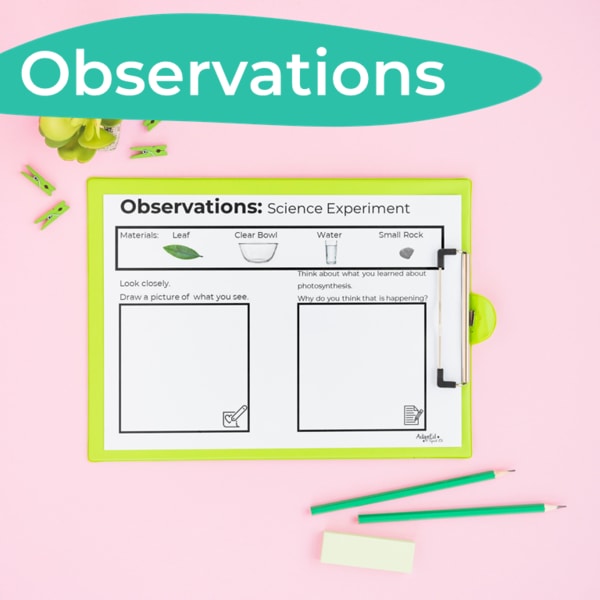 Photosynthesis Science Story + Experiment (Printable PDF) - AdaptEd4SpecialEd