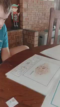 "I Like... I Don't Like..." Opinions Adapted Book (Printable PDF + Interactive Digital + File Folder)