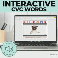 CVC Word Builders Interactive Short U